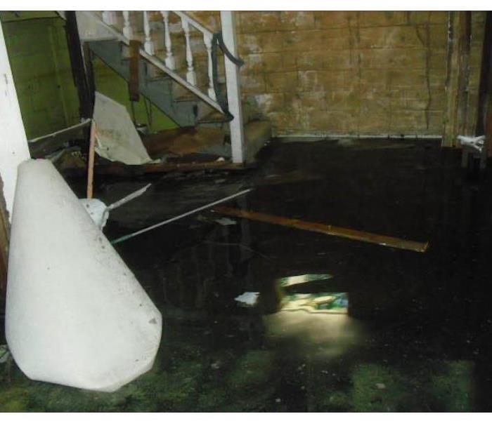 Standing water in basement area.