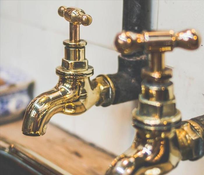 2 golden faucets